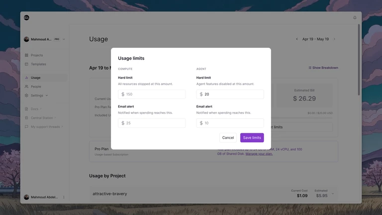 Set separate hard limits and email alerts for Compute and Agent usage