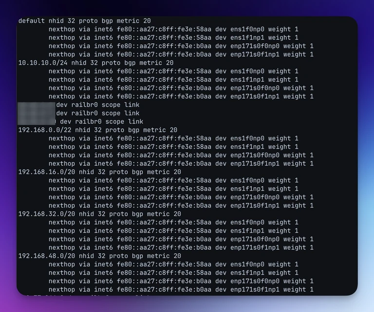 IPv4 routes with IPv6 nexthops. These IPv6 addresses are Link-Local addresses discovered via IPv6 Neighbor Discovery