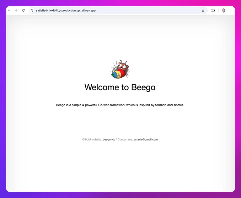 screenshot of the deployed Beego service